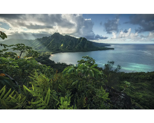Landschaft mit Bergen, Küste und tropischer Vegetation
