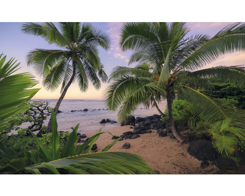 Strandlandschaft mit Palmen und Meer