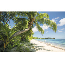 Tropischer Strand mit Palmen und blauem Meer