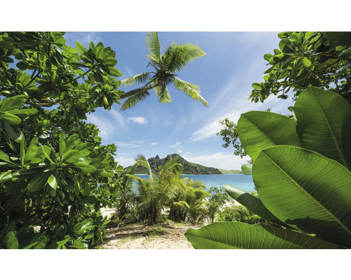 Tropische Insellandschaft mit Palmen und Vegetation am Strand.