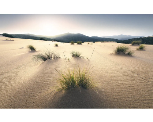 Sanddünenlandschaft mit Gras und Bergen im Hintergrund