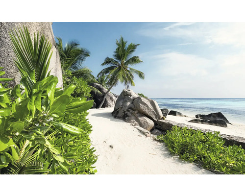 Tropischer Strand mit Palmen und Felsen