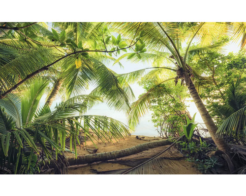 Blick durch Palmenblätter auf einen Sandstrand