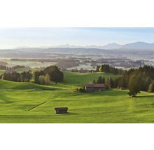 Landschaft mit grünen Hügeln, Bauernhöfen und Bergen im Hintergrund