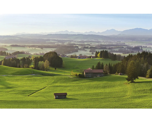 Landschaft mit grünen Hügeln, Bauernhöfen und Bergen im Hintergrund