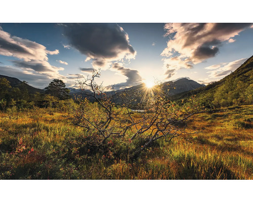 Landschaft mit Wiese, Bergen und Sonnenaufgang