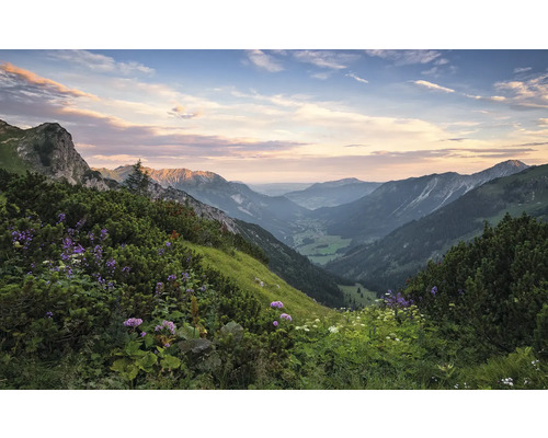 Berglandschaft mit grünen Hängen und blühenden Pflanzen