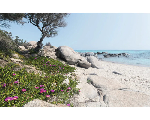 Szene mit Sandstrand, Felsen und Küstenvegetation