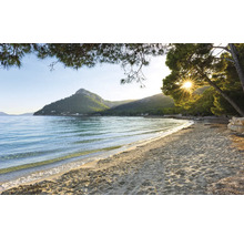 Strandlandschaft mit Meer, Sand und Bäumen