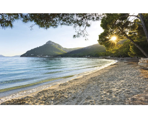 Strandlandschaft mit Meer, Sand und Bäumen