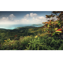 Panoramaaufnahme von einer tropischen Hügellandschaft mit Meerblick