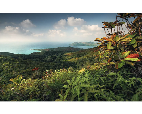 Panoramaaufnahme von einer tropischen Hügellandschaft mit Meerblick