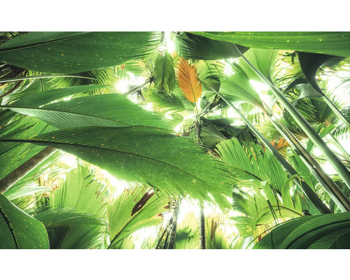 Dichte Vegetation mit großen Blättern