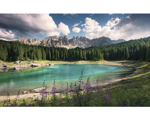 Landschaft mit Bergsee, Wald und Bergkette