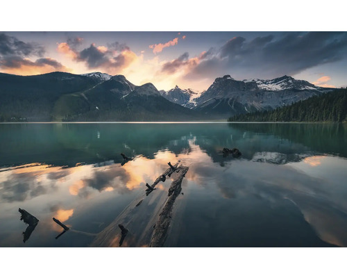 Bergsee mit Baumstämmen und Berglandschaft