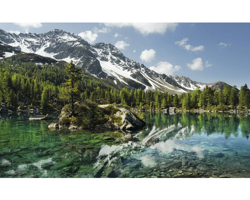 Bergsee mit Bäumen und schneebedeckten Bergen im Hintergrund