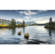 Seelandschaft mit Bäumen und Bergen im Hintergrund
