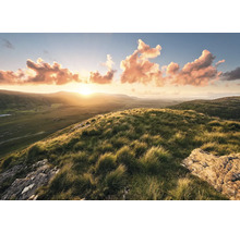 Landschaft mit Hügeln, Gras und Sonnenaufgang
