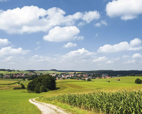 Landschaft mit Feldweg, Maisfeld und Dorf unter blauem Himmel mit Wolken