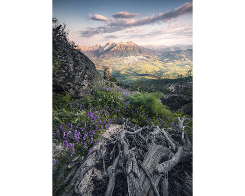 Berglandschaft mit Felsen, blühenden Pflanzen und Blick auf ein Tal
