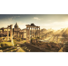 Ansicht des Forum Romanum mit Ruinen und Säulen