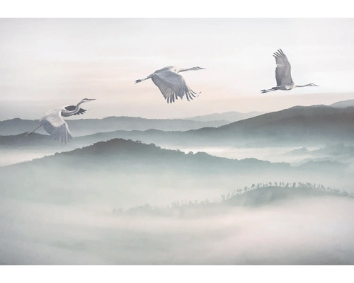 Szene mit Kranichen im Flug über eine nebelverhangene Berglandschaft