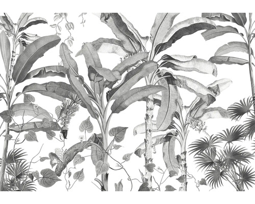 Illustration tropischer Pflanzen als Wanddekoration
