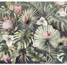 Illustration verschiedener tropischer Pflanzen