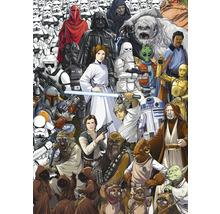 Illustration mit verschiedenen Star Wars Charakteren