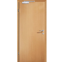 Holztür mit Türschließer, Türklinke und Schlüsselloch