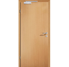 Innentür in Holzoptik mit Türschließer, Drückergarnitur und sichtbaren Bändern.