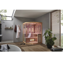 Badezimmer mit Sauna, Badewanne und Zimmerpflanze für eine entspannende Atmosphäre