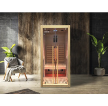 Innenraumsauna aus Holz mit Glastür in Wohnraum
