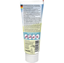 Hansepet Katzensnack aus der Tube, 75 Gramm
