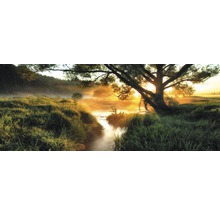 Morgenlandschaft mit Bachlauf, Wiese und Bäumen im Nebel