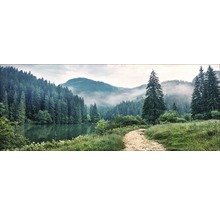 Landschaft mit Waldsee, Bäumen und Wanderweg