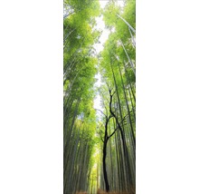 Blick nach oben in einen Bambuswald