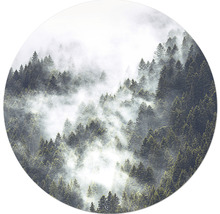 Glasbild rund Foggy Trees III Ø 20 cm