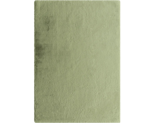 Hochflorteppich Shaggy Romance grün 140x200 cm Quadratischer Teppich