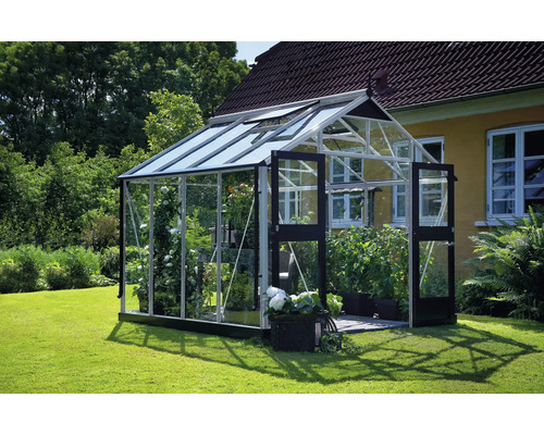 Gewächshaus JULIANA Premium 8,8 m² 3 mm Sicherheitsglas 296x296 cm Aluminium Gewächshaus mit Pflanzen im Garten
