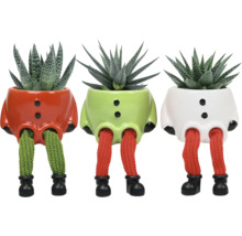 Drei Zimmerpflanzen in dekorativen Übertöpfen mit Beinen und Schuhen