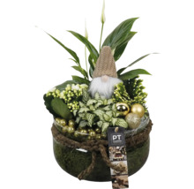 Pflanzschale mit verschiedenen Grünpflanzen, Zwergfigur und Christbaumkugeln