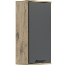 Hängeschrank mit einer Tür und Holzrahmen