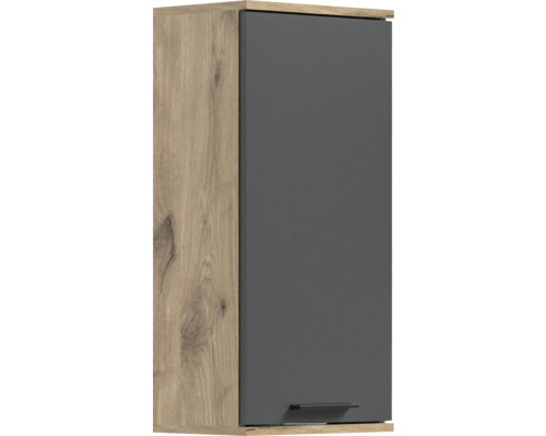 Hängeschrank mit einer Tür und Holzrahmen