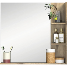 Spiegelschrank mit Ablageflächen für Badezimmerutensilien