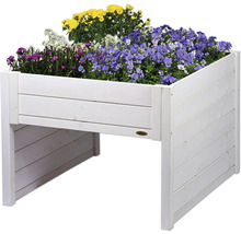 Hochbeet aus Holz mit Blumen bepflanzt