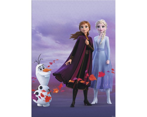 Leinwandbild Disney Die Eiskönigin Herbst 50x70 cm