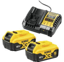 DeWalt Ladegerät mit zwei 18 V Akkus