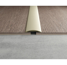 Profilschiene zum Verbinden von Bodenbelägen