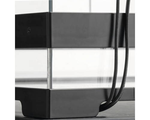 Detailansicht eines Aquariums mit Glasbehälter und schwarzem Rahmen